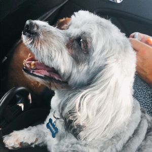 Meet your Posher, Catherine